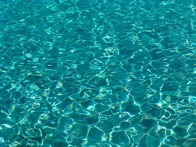 Pinzellades a l'aigua