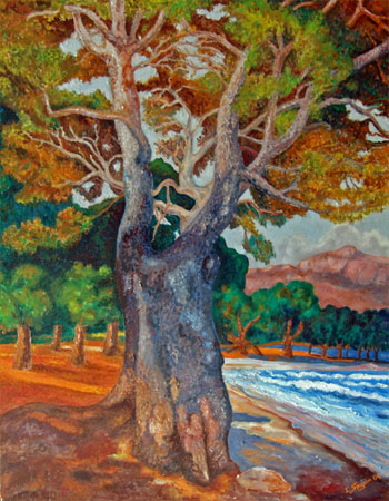 06 Arbre vora mar 2003 (rep)