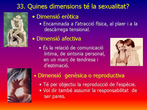 Diapositiva07