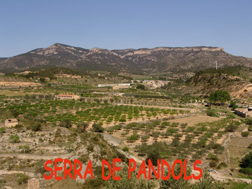 Estralls guerra (34)