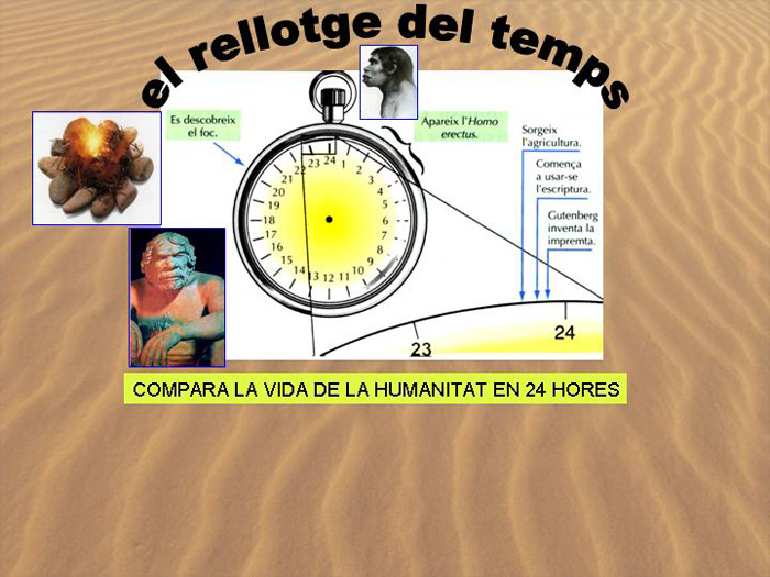 Diapositiva03