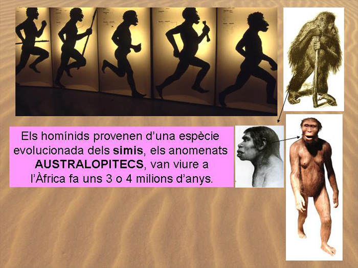 Diapositiva05