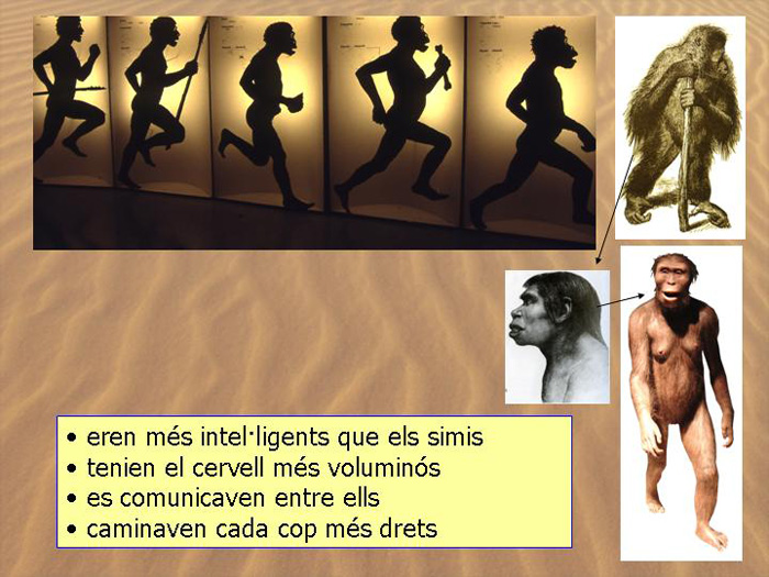 Diapositiva06