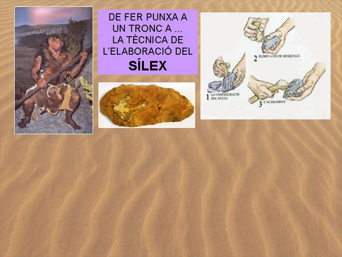 Diapositiva10