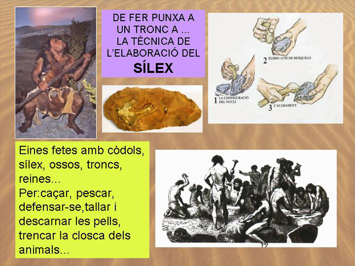 Diapositiva11