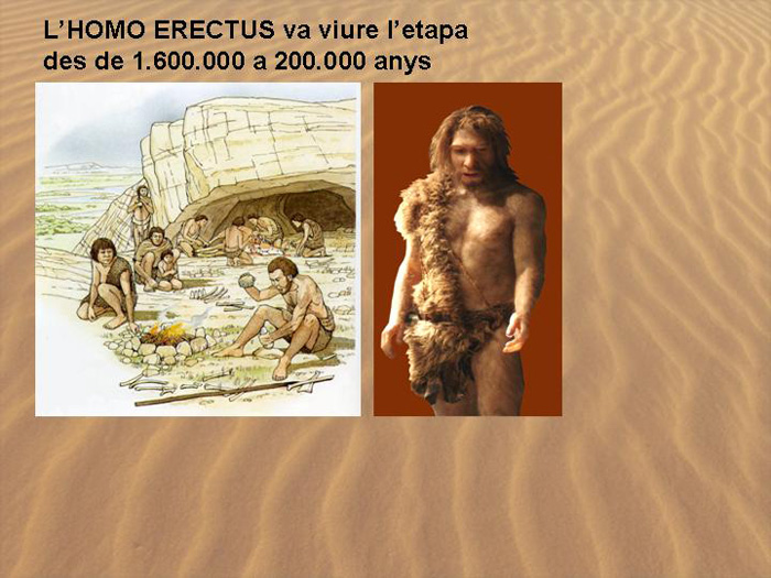 Diapositiva13
