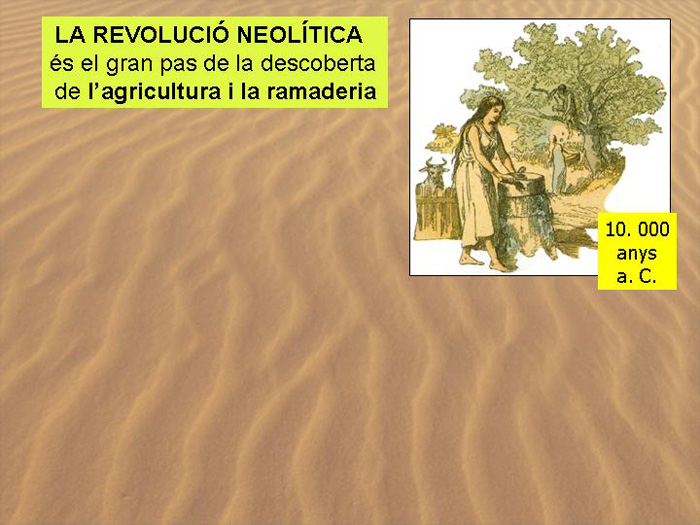 Diapositiva17