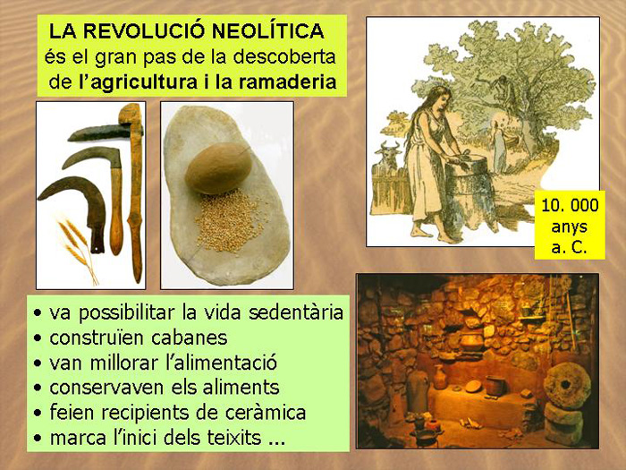 Diapositiva18