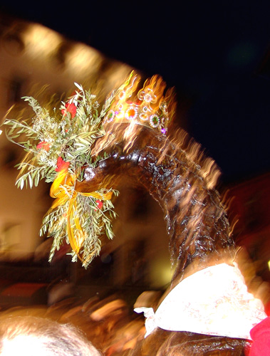 PATUM DE BERGA (064)