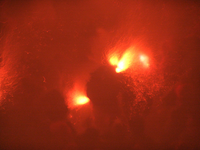 PATUM DE BERGA (103)