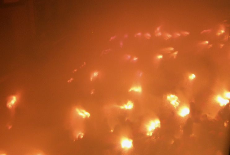 PATUM DE BERGA (106)