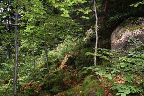 Aran08 036 Uelhs deth Joeu