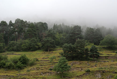 Aran08 056 Prades de Vilamòs