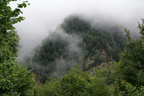 Aran08 069 Arriu de Varradòs