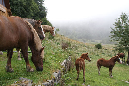 Aran08 075 Varradòs