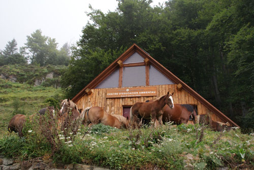 Aran08 076 Varradòs