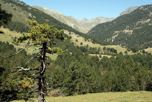 Aran08 130 Serrat Blanc