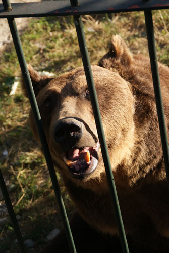 Aran08 154 Os captiu