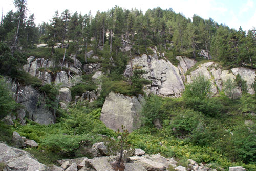 Aran08 163 Camí de Colomers