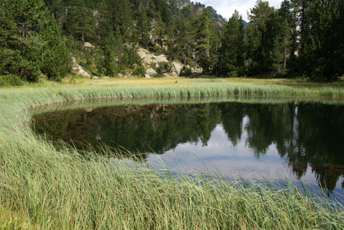 Aran08 164 Estany dera Lossa