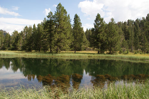 Aran08 165 Estany dera Lossa