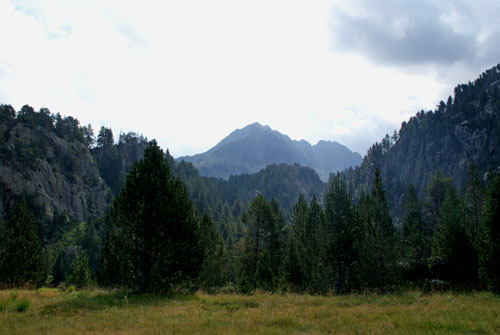 Aran08 166 Vall de Aiguamog