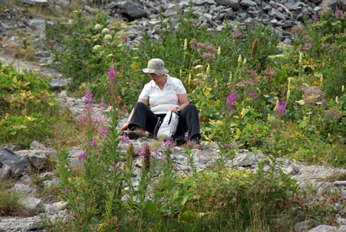 Aran08 172 Jardí natural