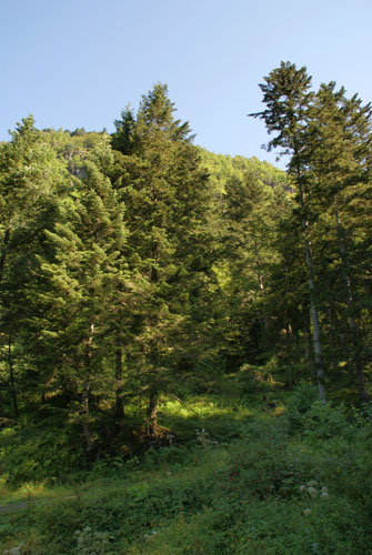 Aran08 232 Portillòn