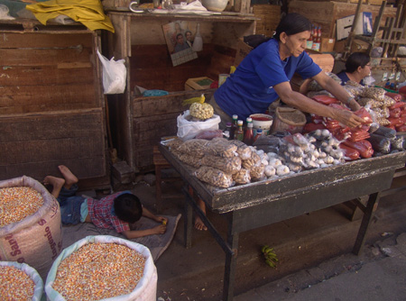Brasil 24 Camocin mercat
