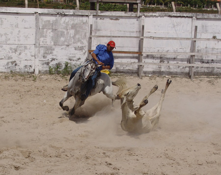 Brasil 47 Barreirinhas vaquejada
