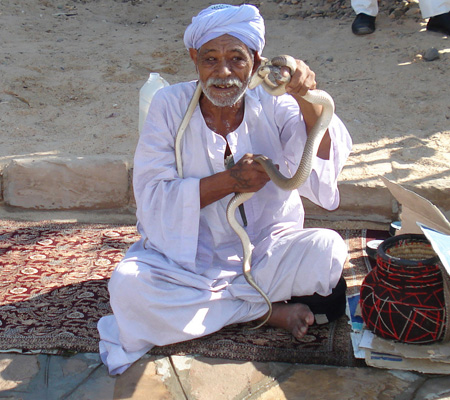 Nil 38 Encantador de serps