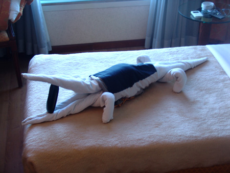 Nil 44 Detall a l'habitació del creuer