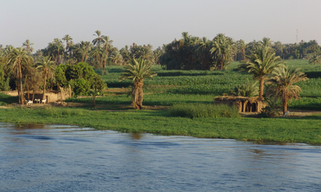 Nil 65 Riba del riu