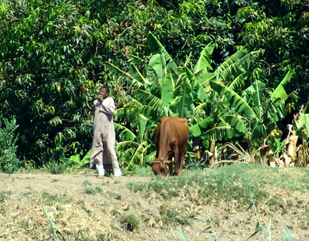 Nil 70 Viure del camp