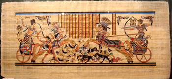 Baix Egipte 77 Papir