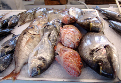 MENORCA 05 Peix en el mercat de Maó