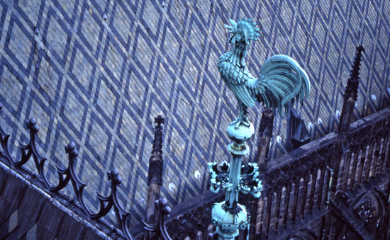 PRAGA 052 Gall de Sant Vito